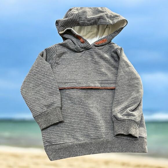 Tommy Bahama Hoodie Boys 2T Toddler Pullover Sweatshirt Gray Brown Casual - Picture 1 of 10
